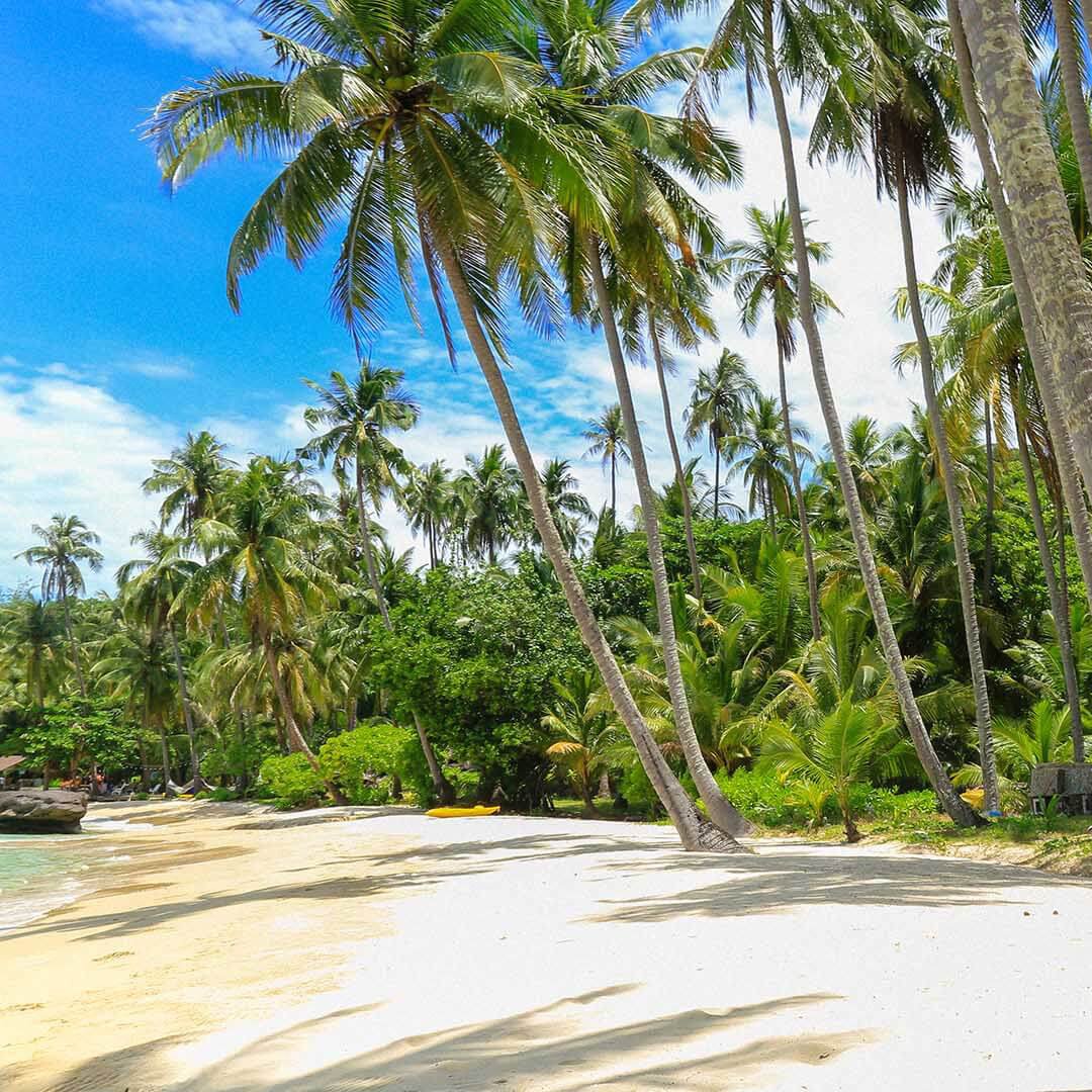 Ultimate Thailand travel guide